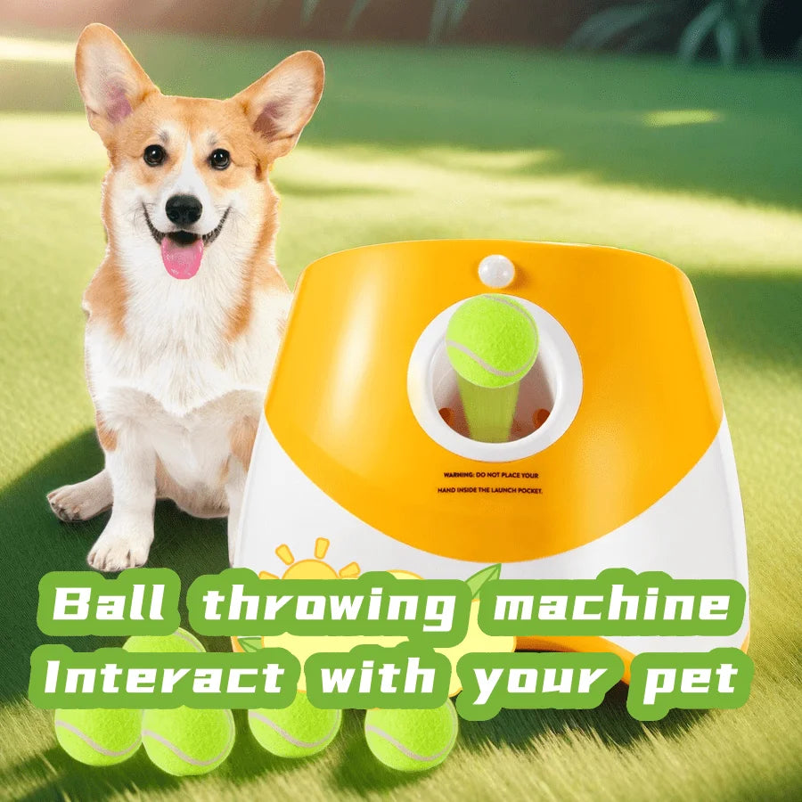 Lanceur de Balles Automatique pour Chien – Rechargeable, Interactif & Amusant