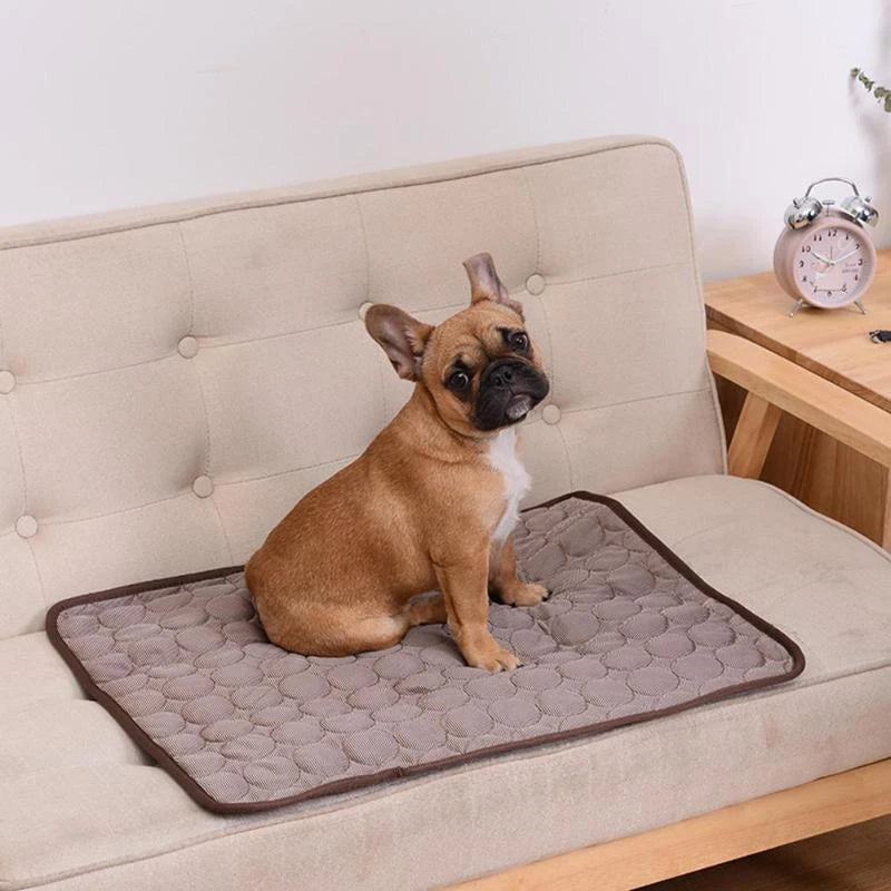 Tapis Rafraîchissant pour Chiens et Chats – Matelas Été Ultra Moelleux