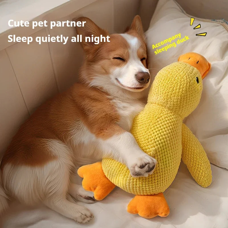 Jouet Chien Canard en Peluche – Anti-Stress, Résistant aux Morsures, Bruit de Couinement, Compagnon de Sommeil