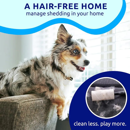 Brosse Double Face Anti-Mue pour Chien & Chat – Démêlage et Sous-Poil