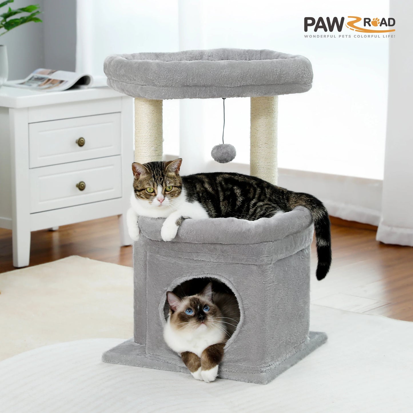 Arbre à Chat Compact 68 cm avec Perchoir, Griffoir et Jouet Suspendu