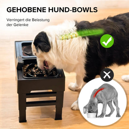 Gamelle Élevée 2-en-1 Amicura – Anti-Gorgement & Réglable en Hauteur pour Chiens et Chats