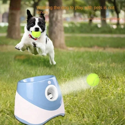 Lanceur de Balles Automatique pour Chien – Rechargeable, Interactif & Amusant